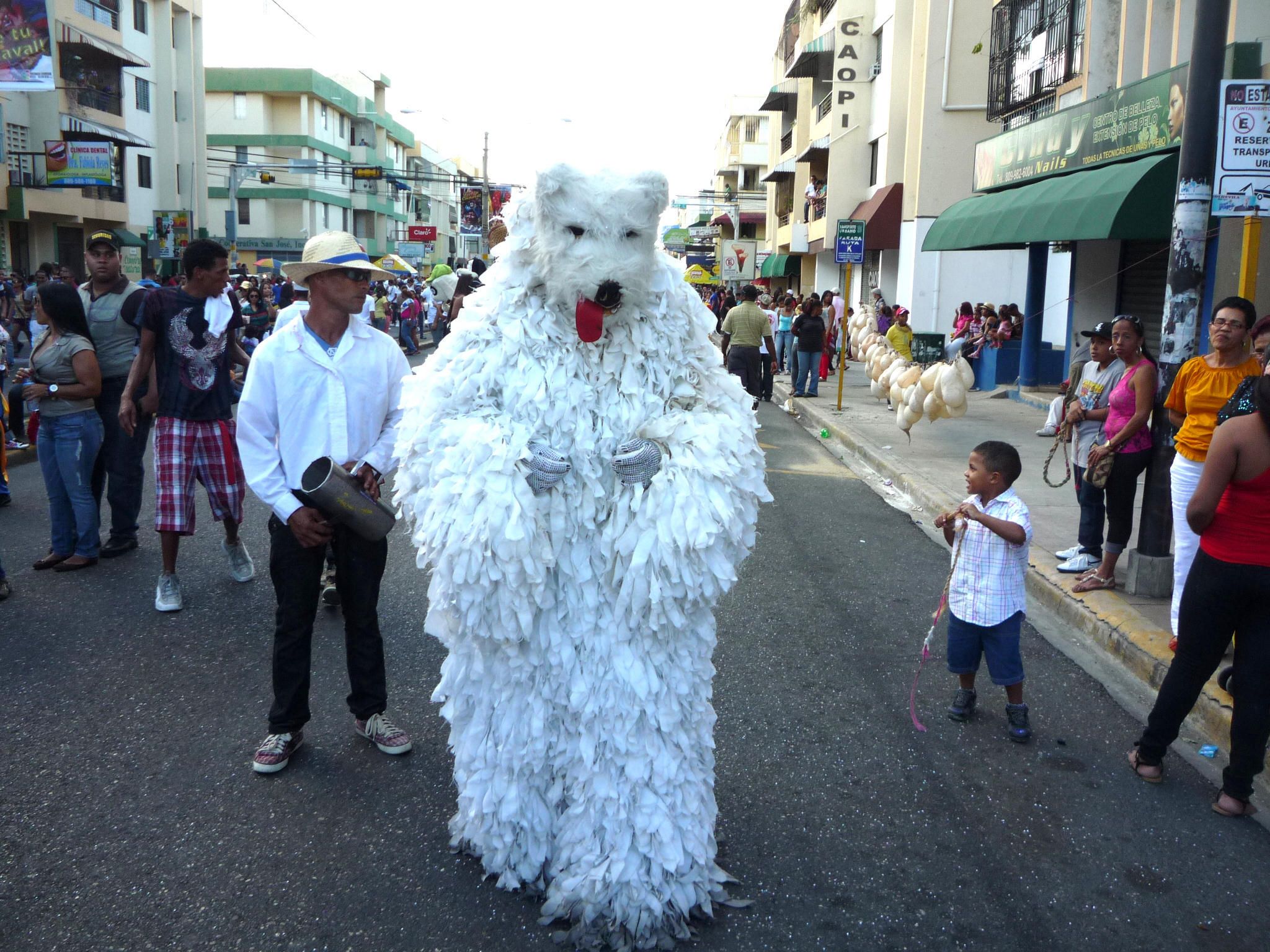 Carnaval 2013 Santiago de los Caballeros, Republica Dominicana 