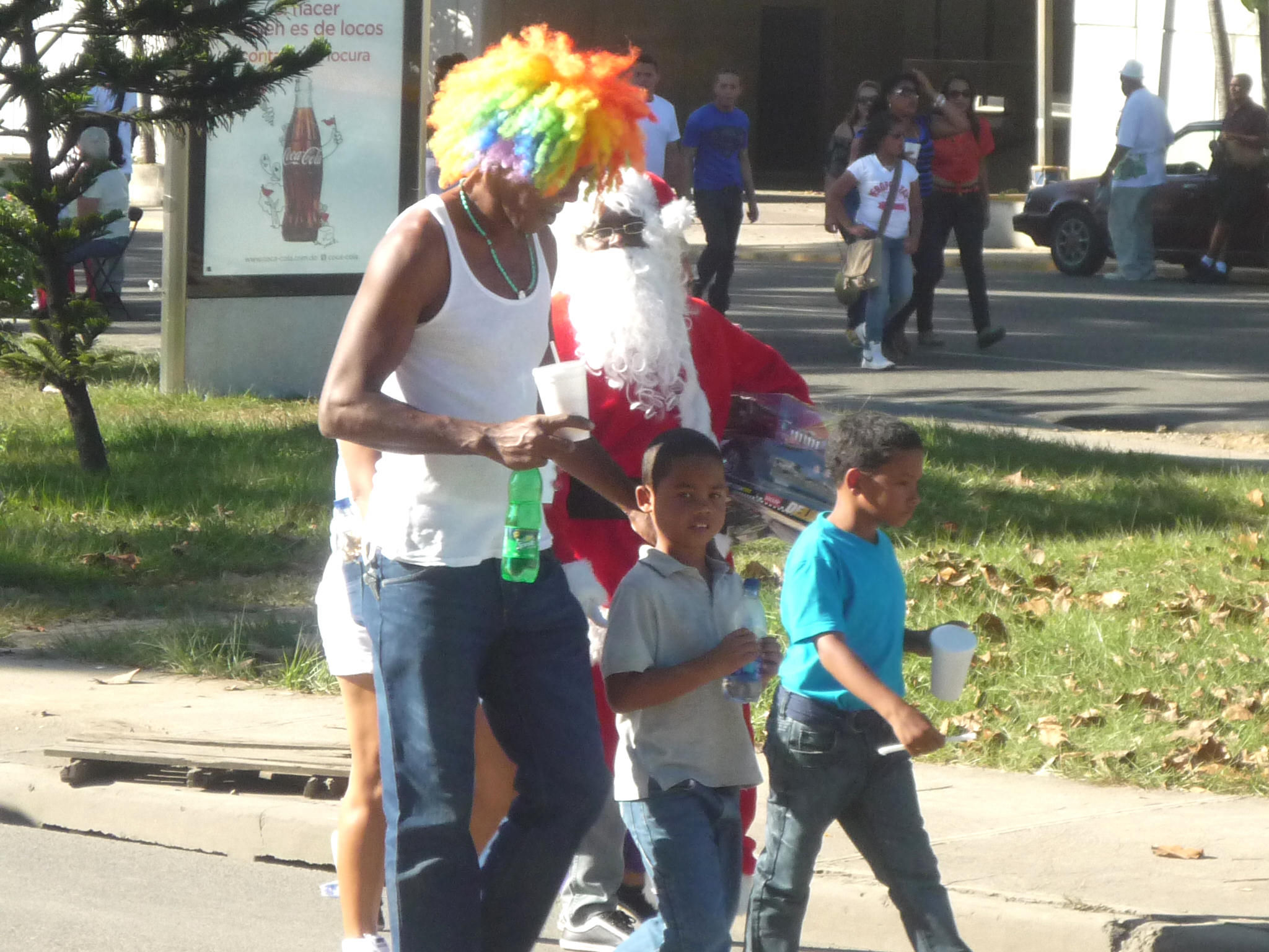 Carnaval 2013 Santiago de los Caballeros, Republica Dominicana 