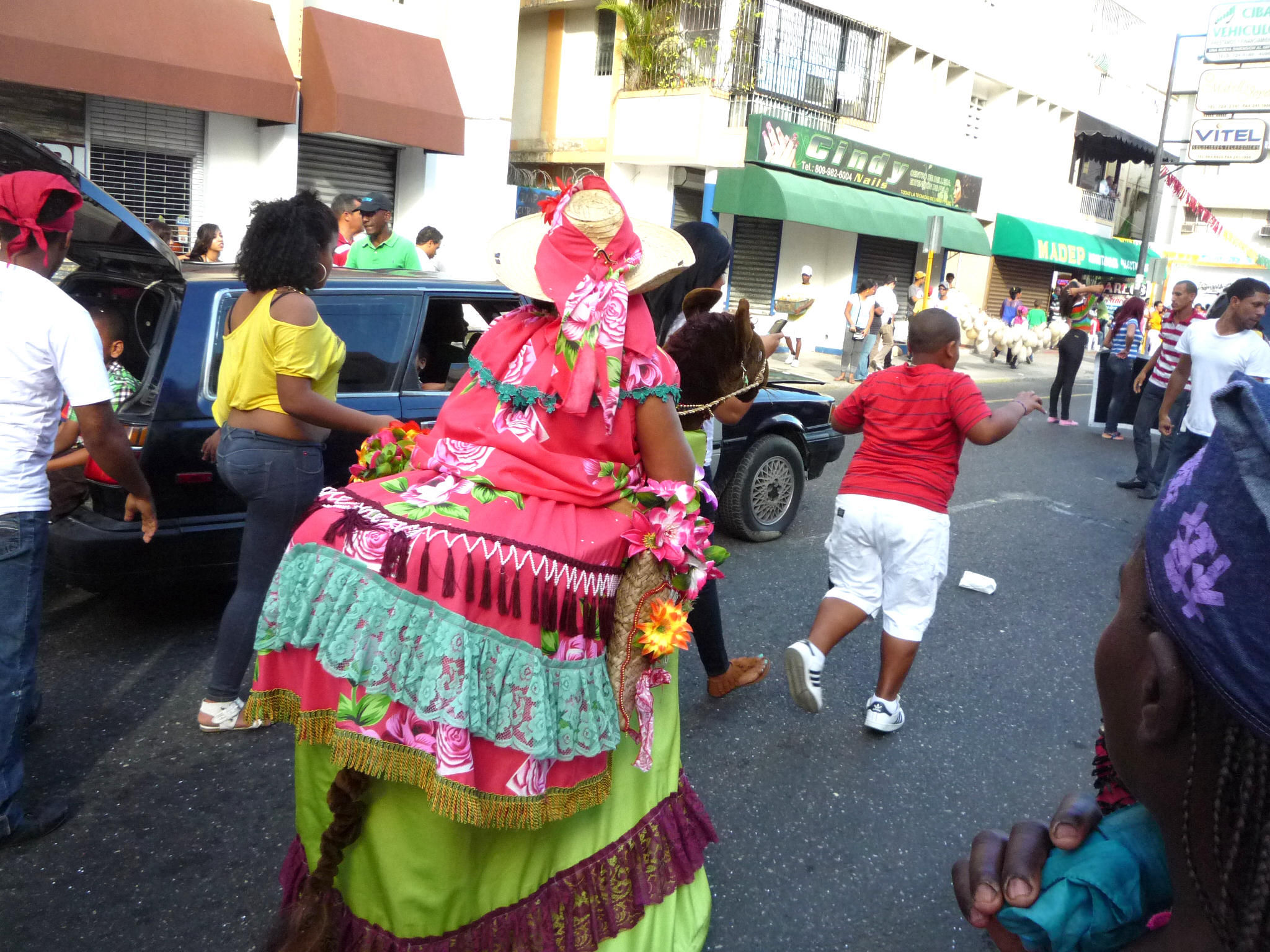 Carnaval 2013 Santiago de los Caballeros, Republica Dominicana 