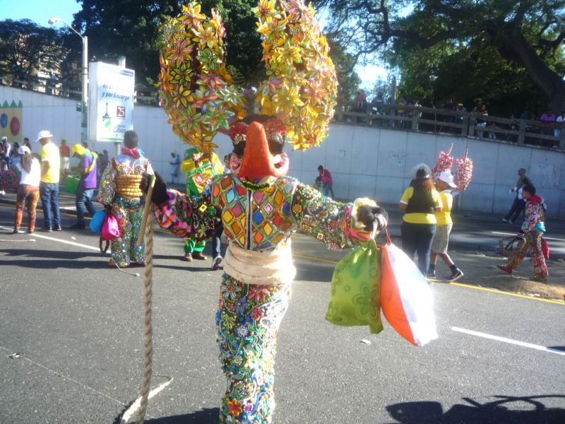 Carnaval 2014 Santiago de los Caballeros, Republica Dominicana 