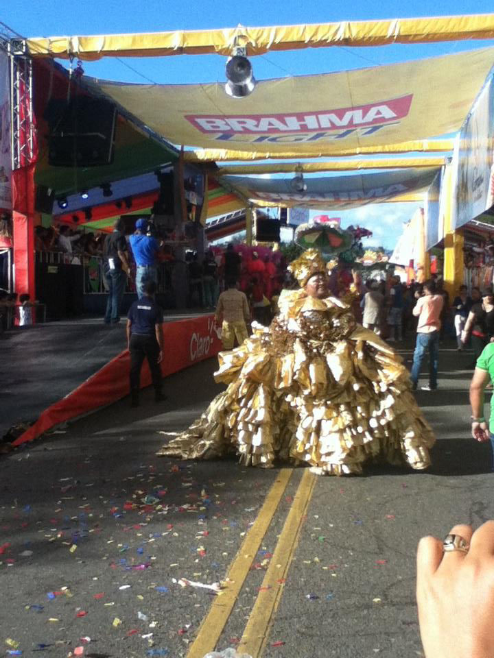 Carnaval 2014 Santiago de los Caballeros, Republica Dominicana 