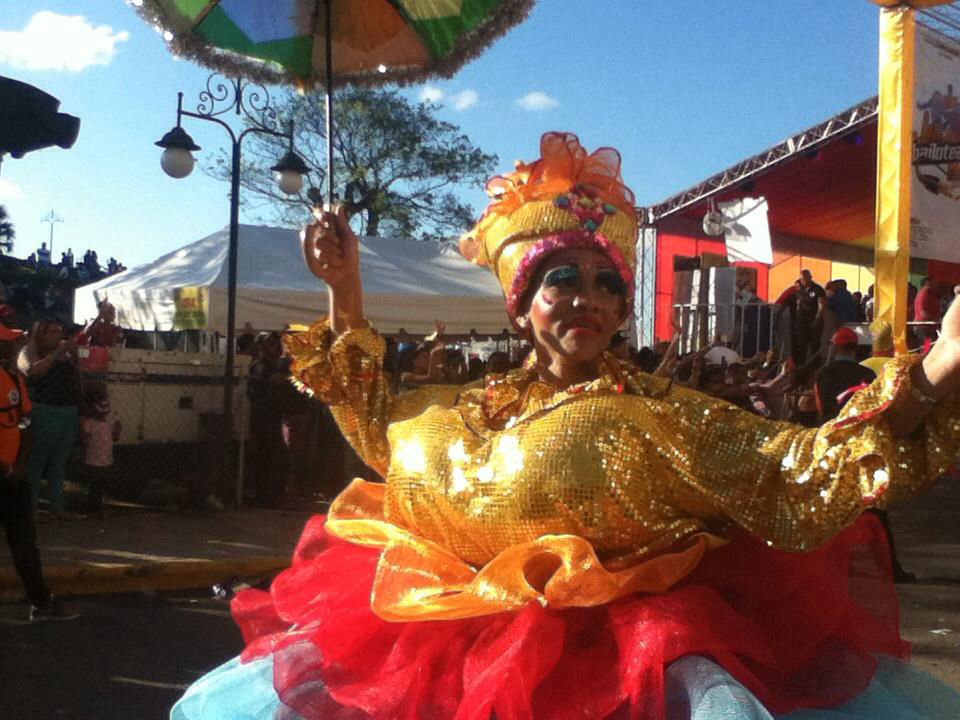 Carnaval 2014 Santiago de los Caballeros, Republica Dominicana 