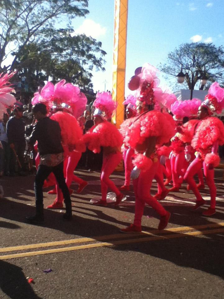 Carnaval 2014 Santiago de los Caballeros, Republica Dominicana 