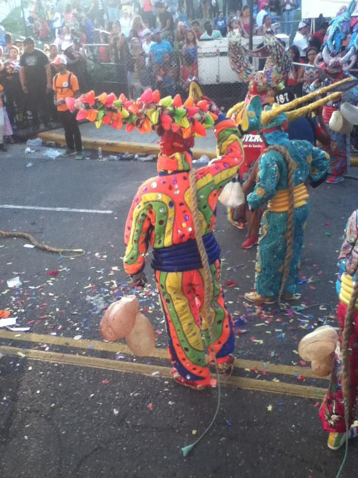 Carnaval 2014 Santiago de los Caballeros, Republica Dominicana 