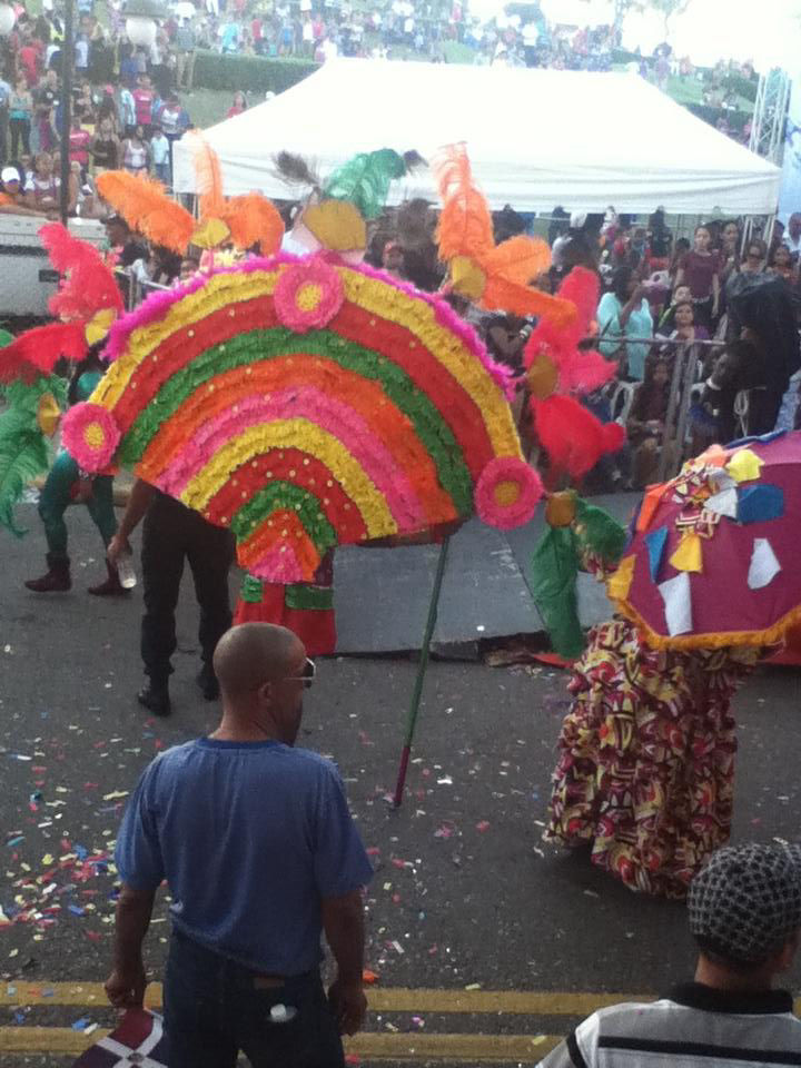 Carnaval 2014 Santiago de los Caballeros, Republica Dominicana 