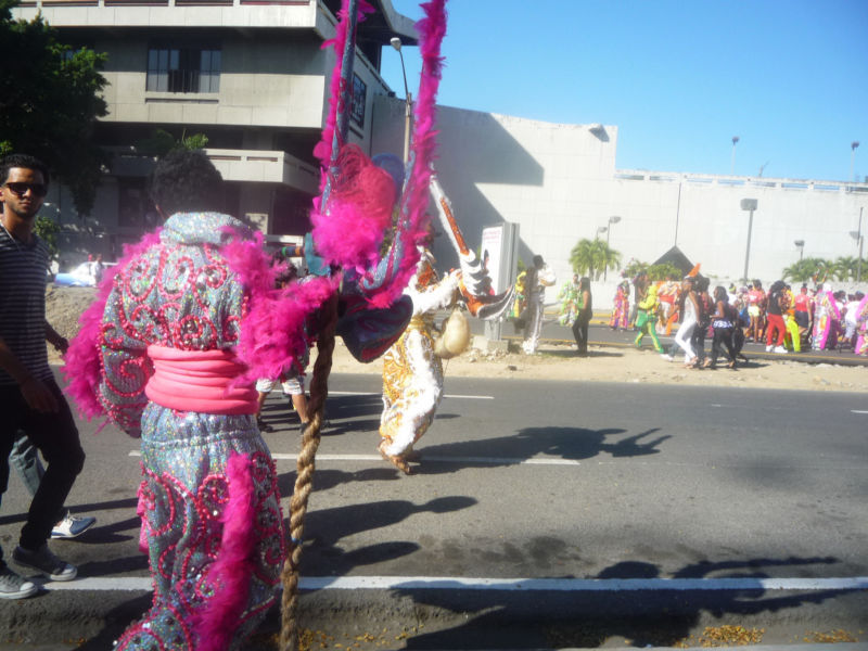 Carnaval 2014 Santiago de los Caballeros, Republica Dominicana 