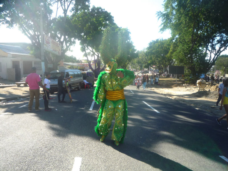 Carnaval 2014 Santiago de los Caballeros, Republica Dominicana 