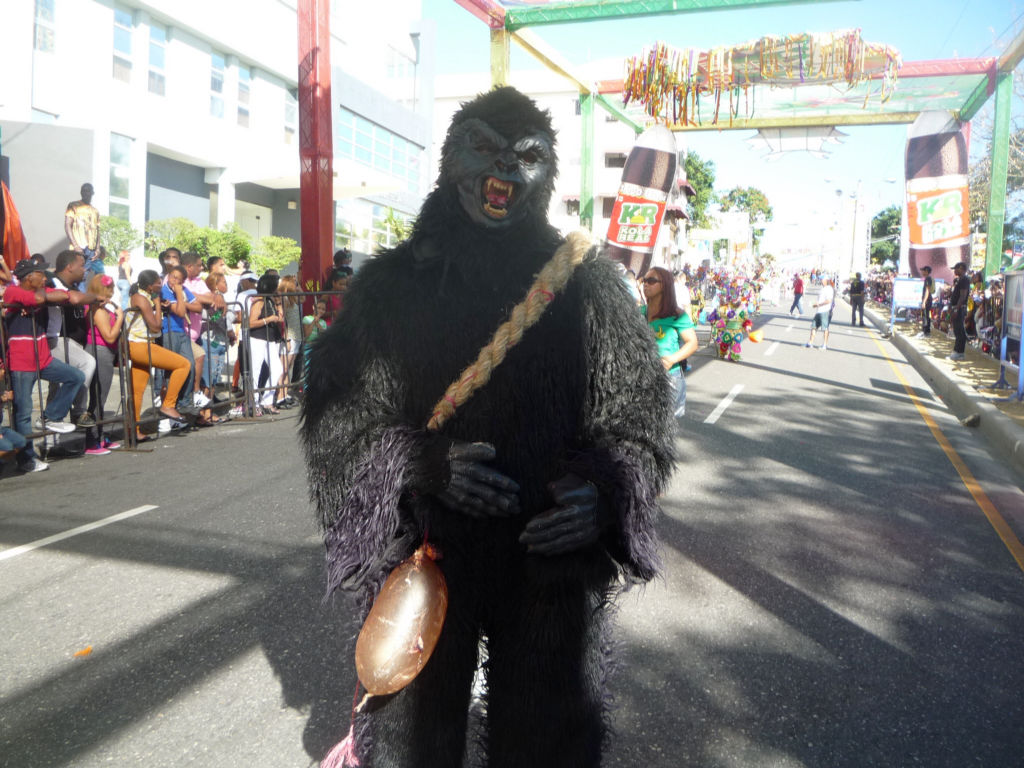 Carnaval 2014 Santiago de los Caballeros, Republica Dominicana 