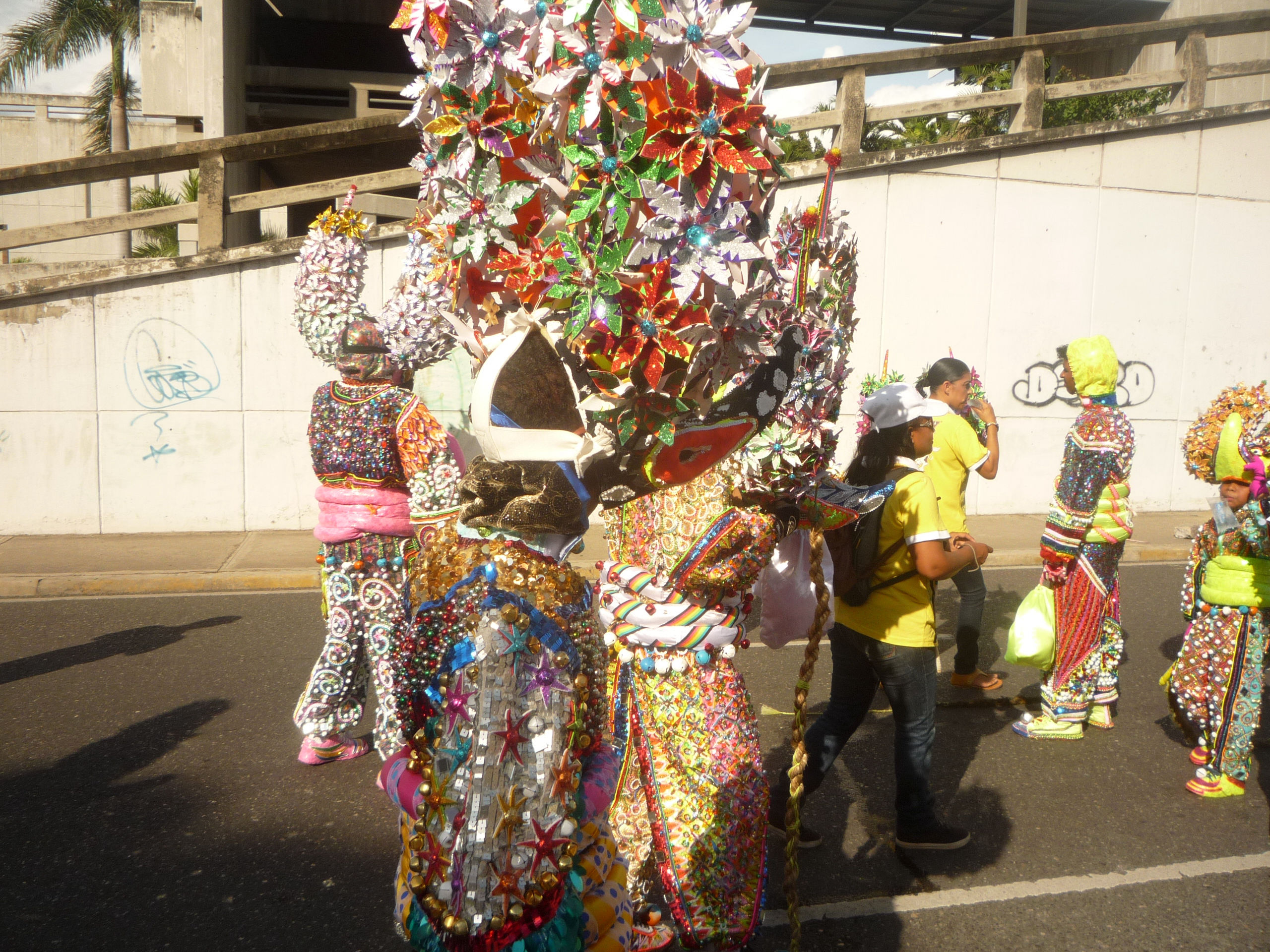 Carnaval 2015 Santiago de los Caballeros, Republica Dominicana