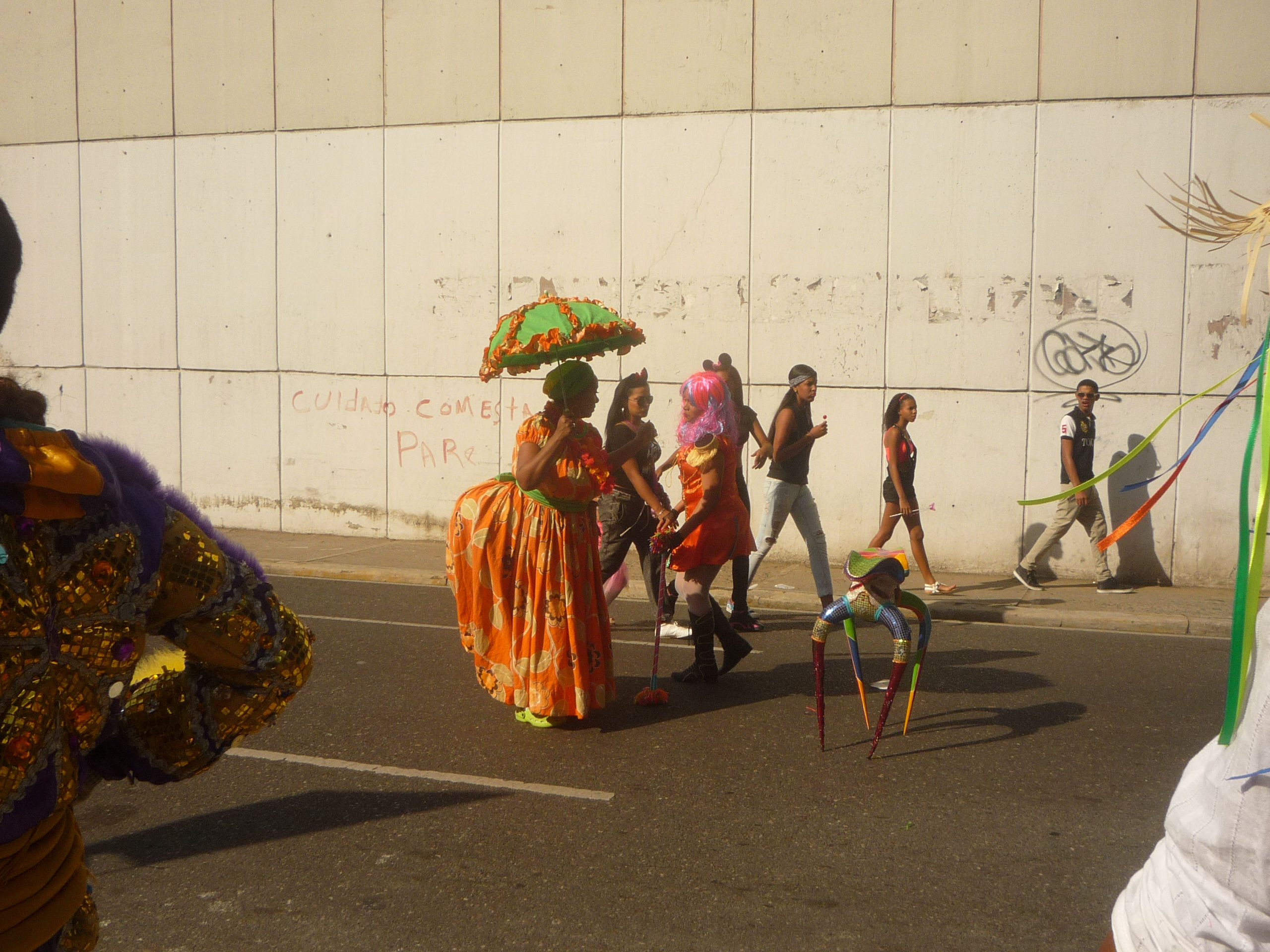 Carnaval 2015 Santiago de los Caballeros, Republica Dominicana