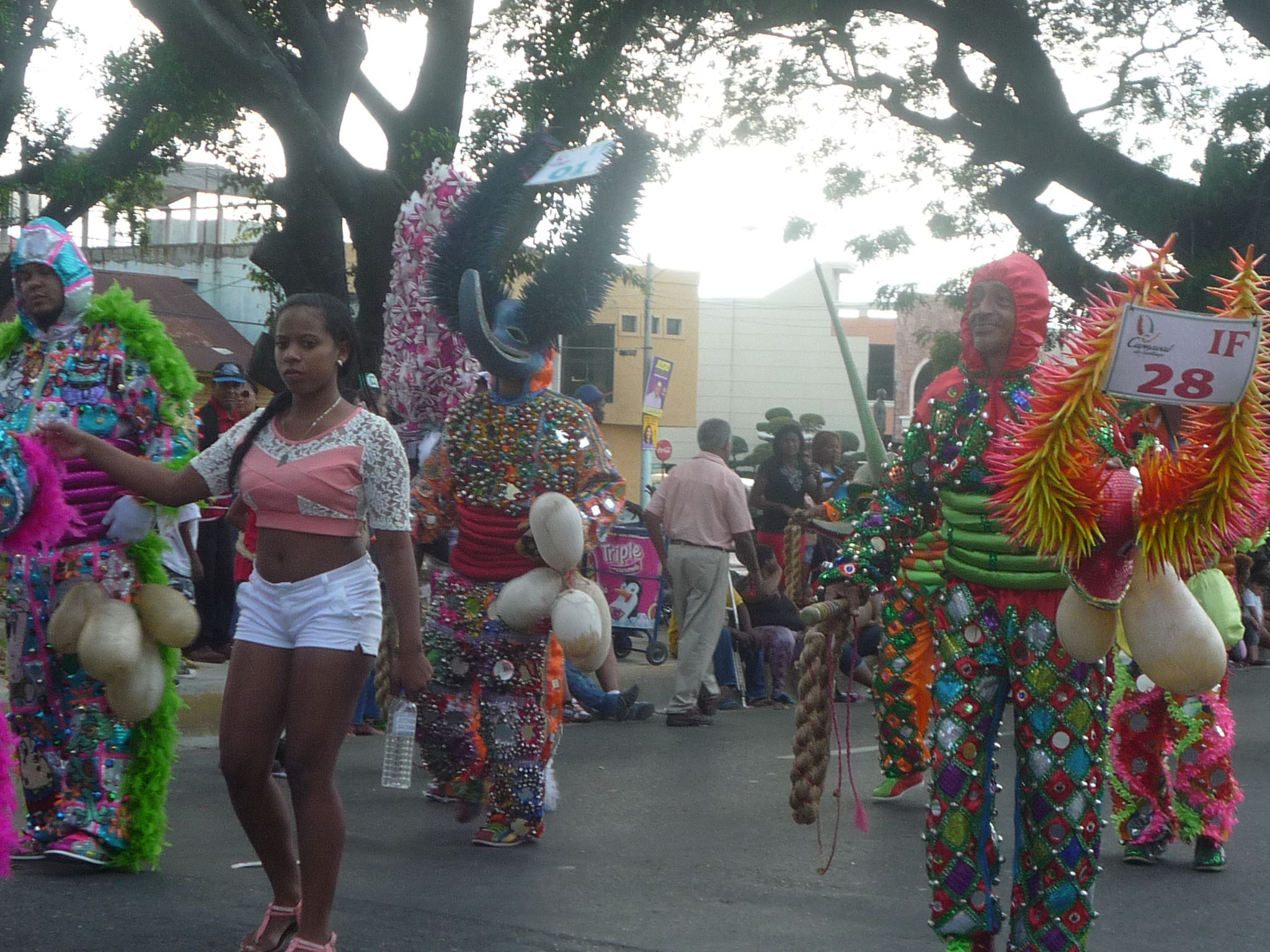 Carnaval 2015 Santiago de los Caballeros, Republica Dominicana