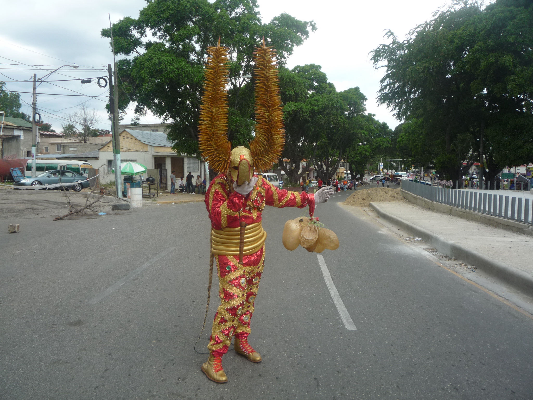 Carnaval 2015 Santiago de los Caballeros, Republica Dominicana