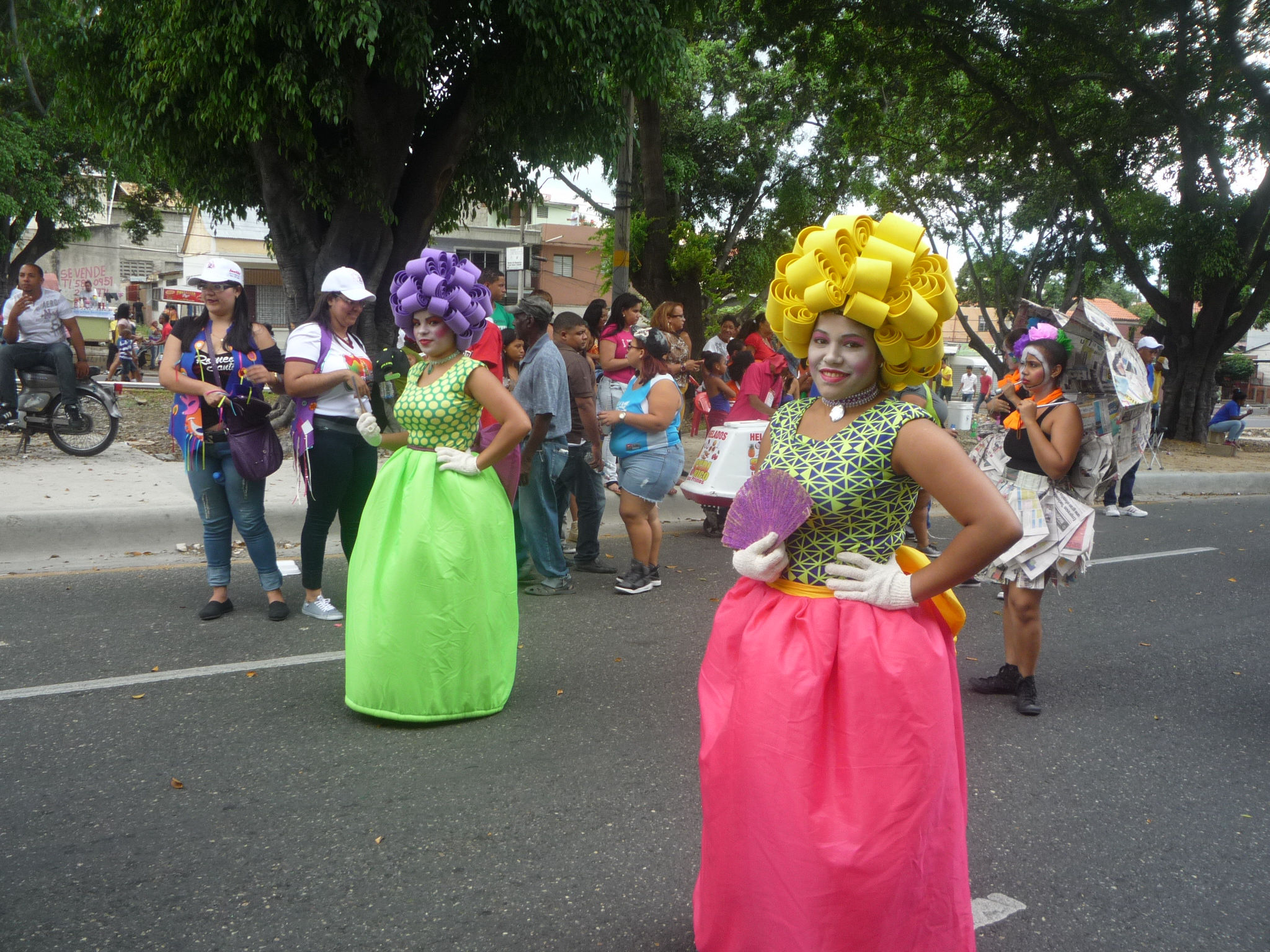 Carnaval 2015 Santiago de los Caballeros, Republica Dominicana